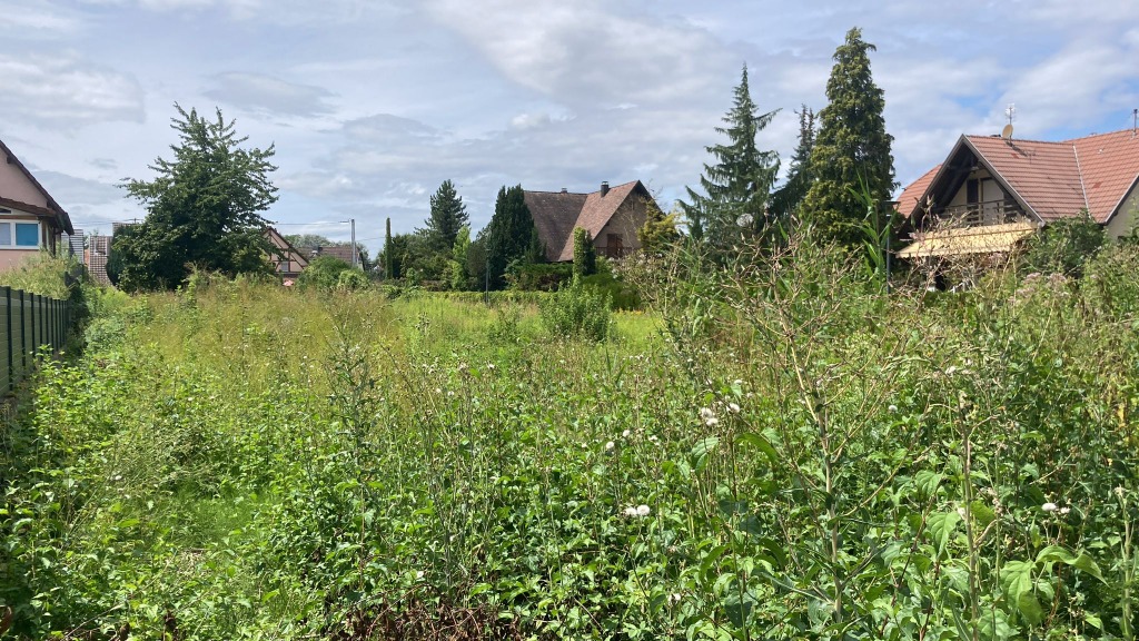 terrains constructible ROSENAU 361 m²